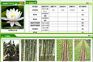 织梦绿色苗木种植基地类网站织梦模板