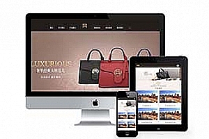 织梦响应式品牌包包类网站织梦模板(自适应手机端)