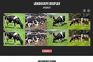 织梦农林园林景观行业网站整站织梦源码(带手机端)