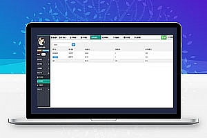 支付源码 代收付系统 手工代付