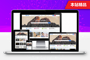 最新的RiPlus主题去授权版V2.4(适用于视频素材站和资源下载站的WordPress主题——持续更新)