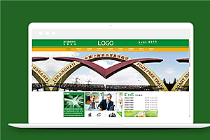 绿色宽屏进口食品贸易公司网站模板