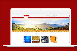 红色宽屏简约通用工业企业网站模板