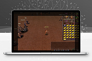 奇侠-奇侠服务端五行一键端(带宠转生功能)可外网独家游戏版