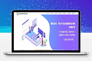 APP应用分发系统-已清后门全新UI-对接码支付收款网站源码