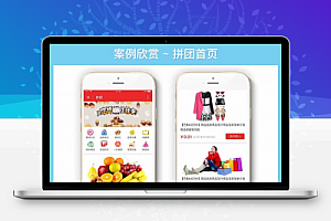 购物拼团小程序拼团商城商业源码下载