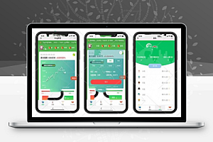 可运营版本西瓜币H5完全源代码共享带视频构建教程+代理推广完美