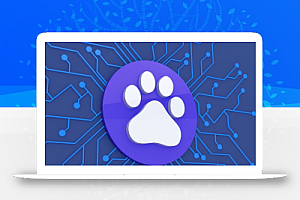 WBOLT 百度推送管理插件 3.4.10 Pro