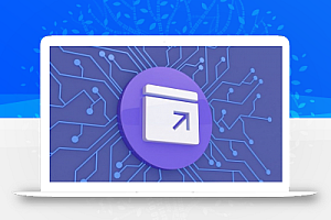 WBOLT 搜索推送管理插件(原百度推送管理插件) 3.4.11 Pro