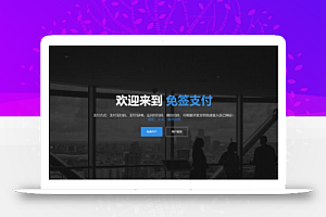 支付宝支付源码_支付宝包装网银支付宝网银支付宝网关软件PC端监控