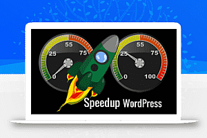 减少wordpress站点速度慢的优化数据库查询次数,以秒为单位打开站点!