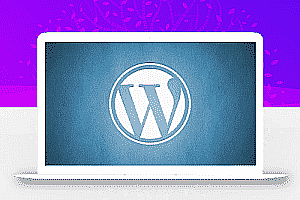 如果忘记了WordPress管理员的密码该怎么办? 用两种方法更改密码