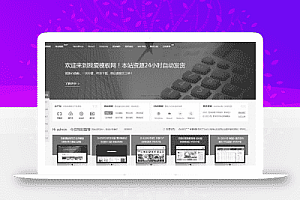 WordPress如何实现全站一键灰化功能