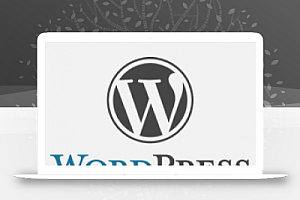 WordPress终极优化–隐藏WordPress版本
