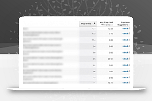 WordPress终极优化指南–查找最慢的页面URL,并逐一进行优化