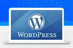 WordPress后台加载速度慢的问题