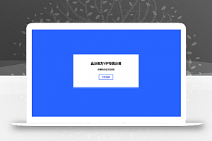 Ripro美化-增强功能-增加VIP分类