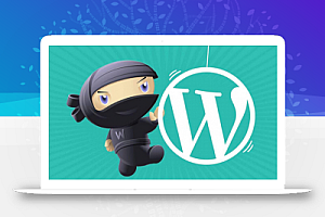 删除WordPress和WooCommerce不需要的小部件