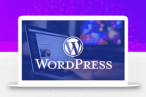 WordPress加速和优化性能:启用gzip压缩以用于web