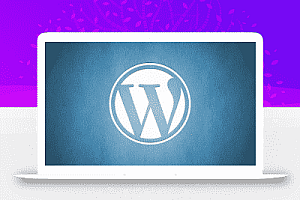 WordPress优化:加快WordPress网站运行的6种方法