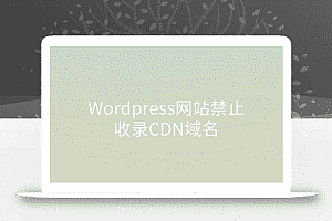 WordPress网站禁止收录CDN域名解决方法