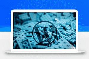 WordPress处理后台访问缓慢的问题