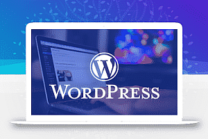 减少WordPress网站上的数据库查询次数