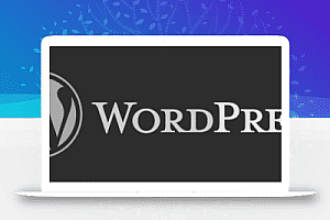 WordPress禁止将英文半角符号转换为全角符号(字符转义)
