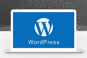 在WordPress文章中添加多个有特色的图像(缩略图)