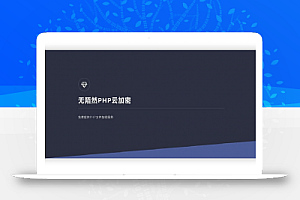 新版PHP无陌然在线云加密平台系统源码分享 带安装说明