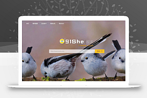 域名网站程序PHP开源源码下载