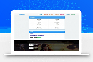 最新王者荣耀个人发卡网站源码分享 带安装教程
