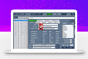 精灵俏女巫硬字幕提取及提取工具