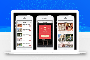 最新DSCMS正版视频打赏系统源码