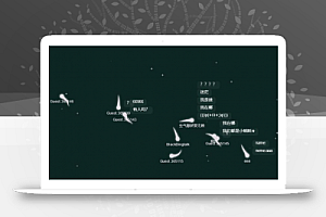 小蝌蚪在线引流匿名聊天程序源码分享