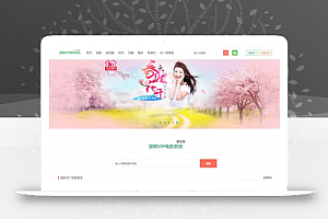 PHP影视网站电影VIP影院系统源码 带自动采集