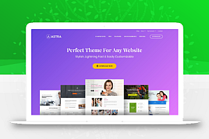 Astra Pro v2.0.0 专业无限制版【中文汉化】WordPress主题模板