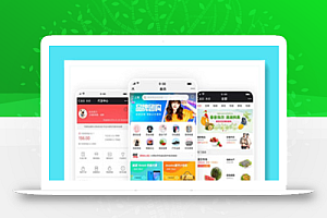 微商城系统源码 可封装成app+安装教程