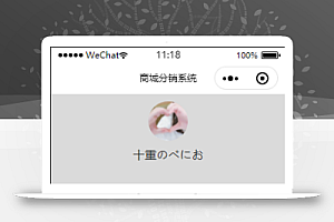 简约图问商城分销系统个人中心程序源码