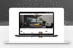 Constance汉化版+英文版 WP中文版商城WordPress主题模板