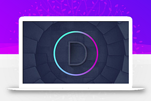 Divi 中文版高性能功能强大的 WordPress主题模板