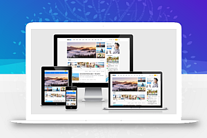 主题巴巴/博客X WordPress主题模板 V1.3.1去授权无限制版