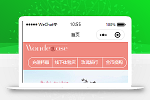 粉色茶文化线下体验宣传网站首页程序源码
