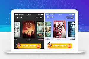 最新无授权全解密影视小程序