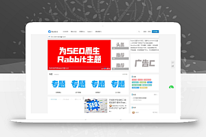 用于SEO的RabbitV3.0博客信息不受WordPress主题模板的限制