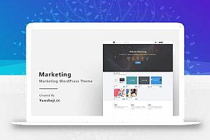 Marketing主题V2.0免授权无限制版本WordPress主题模板