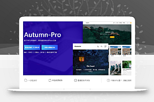 Autumn-Pro基于WPJAM插件 高性能的WordPress主题模板(更新至V2.4)