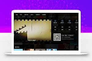 全网VIP视频网站电影源码