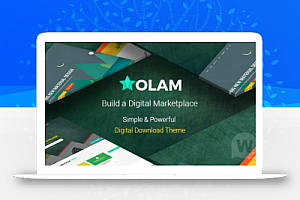 Olam 资源下载数字下载高级商城中文WordPress主题模板