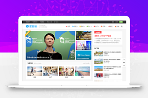 主题巴巴/爱前端主题iux1.2.0WordPress主题模板无限版